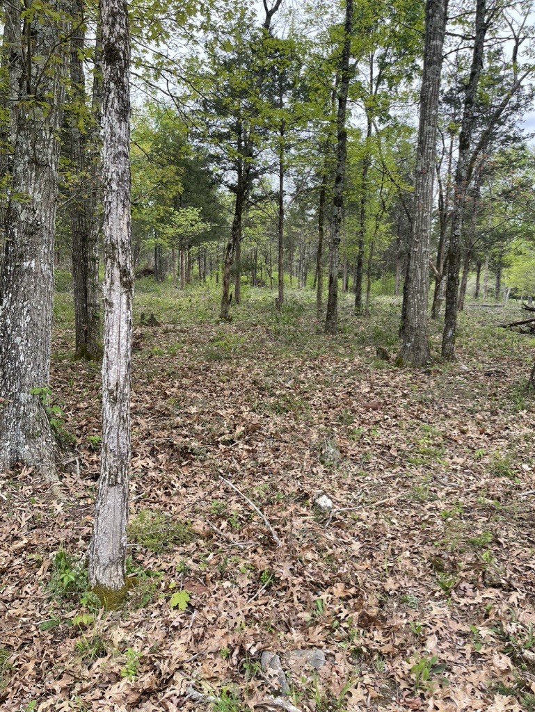 0 Hopkins Bridge Road Unionville, TN 37180 - Photo 14 of 25 Gallery Image 14