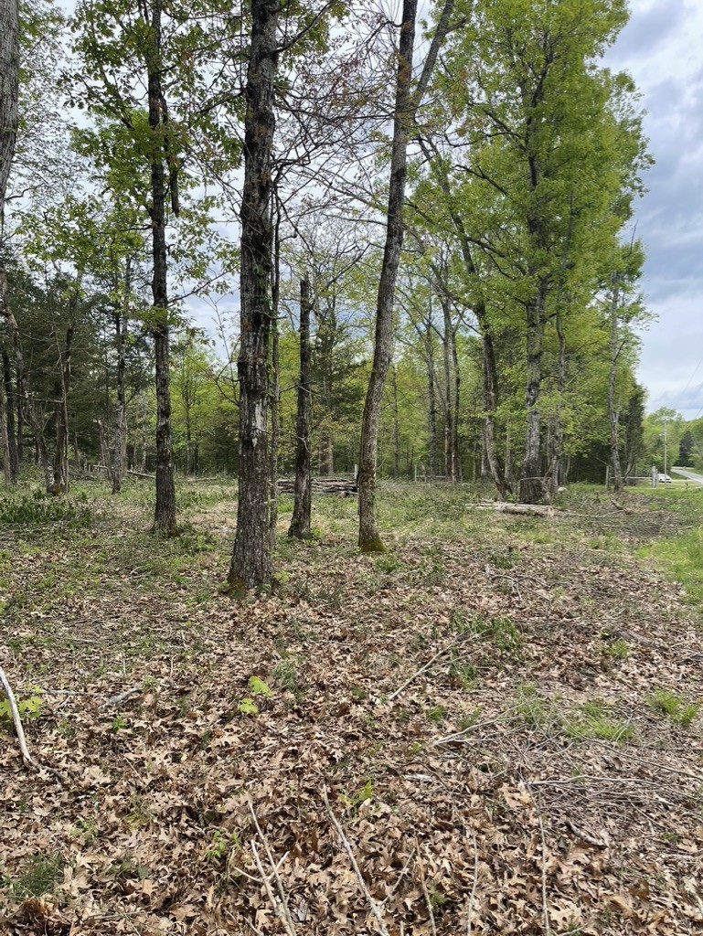 0 Hopkins Bridge Road Unionville, TN 37180 - Photo 15 of 25 Gallery Image 15