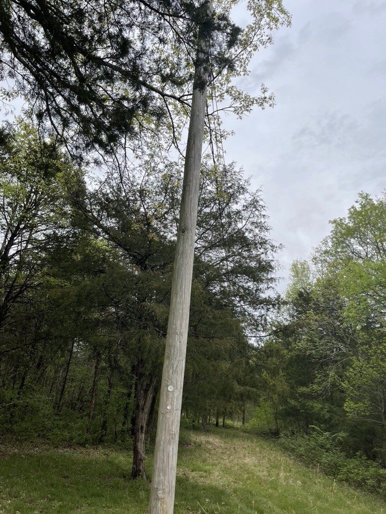 0 Hopkins Bridge Road Unionville, TN 37180 - Photo 16 of 25 Gallery Image 16