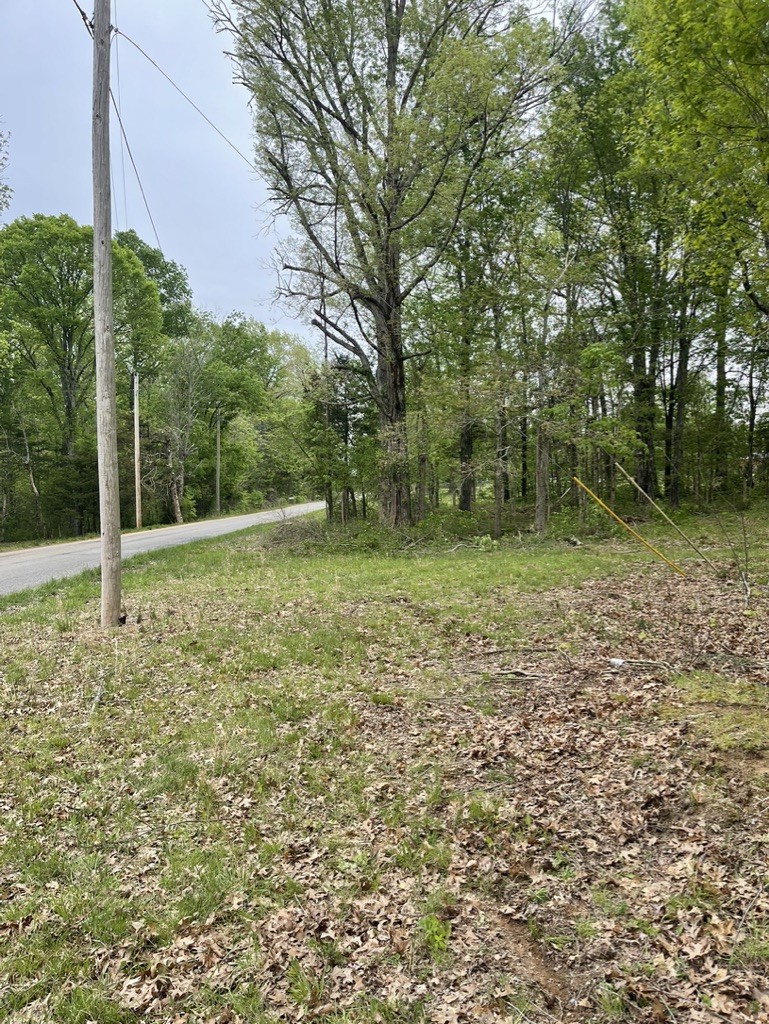 0 Hopkins Bridge Road Unionville, TN 37180 - Photo 17 of 25 Gallery Image 17