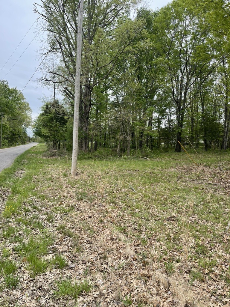 0 Hopkins Bridge Road Unionville, TN 37180 - Photo 18 of 25 Gallery Image 18