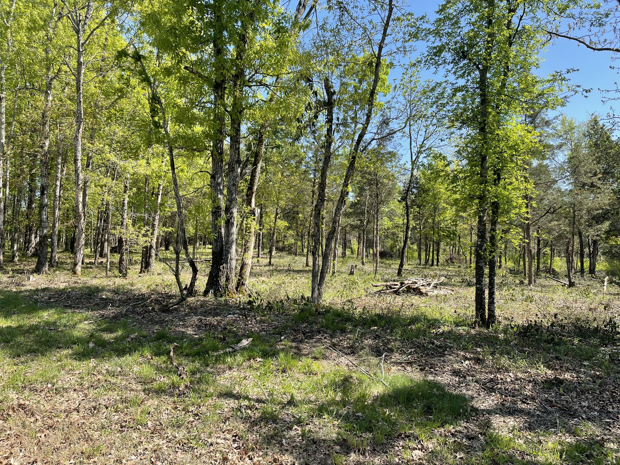 0 Hopkins Bridge Road Unionville, TN 37180 - Photo 19 of 25 Gallery Image 19