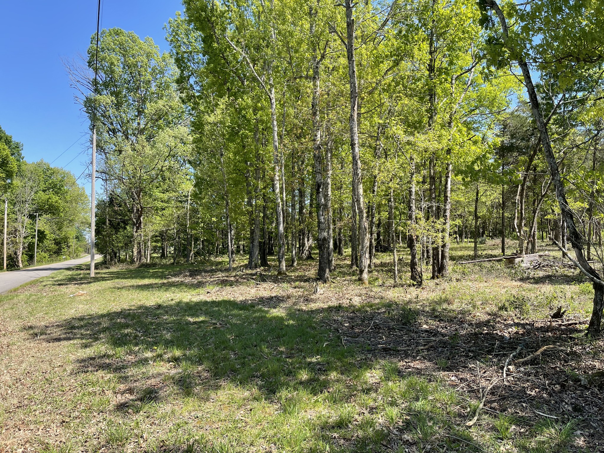 0 Hopkins Bridge Road Unionville, TN 37180 - Photo 20 of 25 Gallery Image 20
