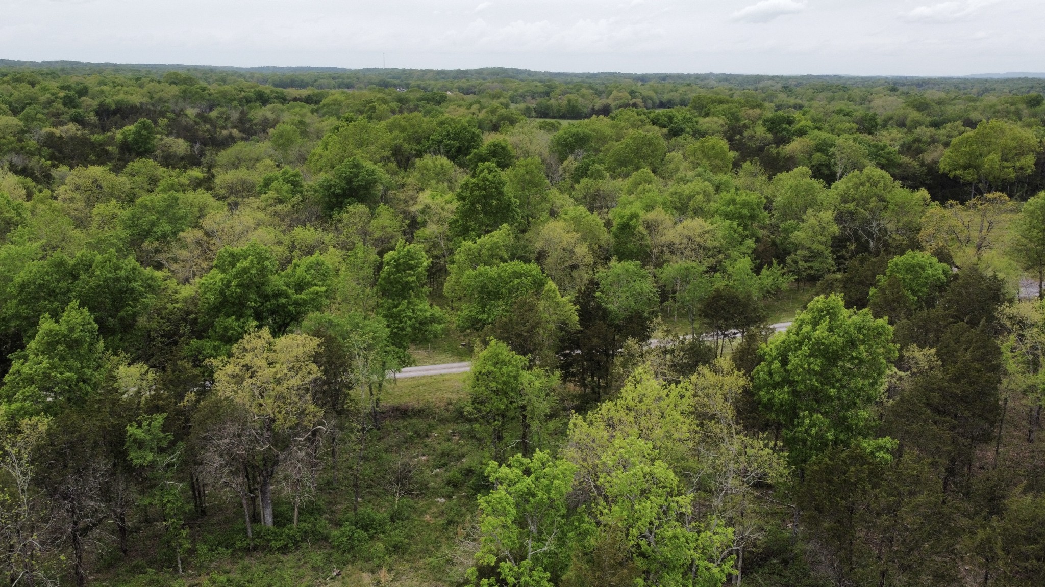 0 Hopkins Bridge Road Unionville, TN 37180 - Photo 2 of 25 Gallery Image 2