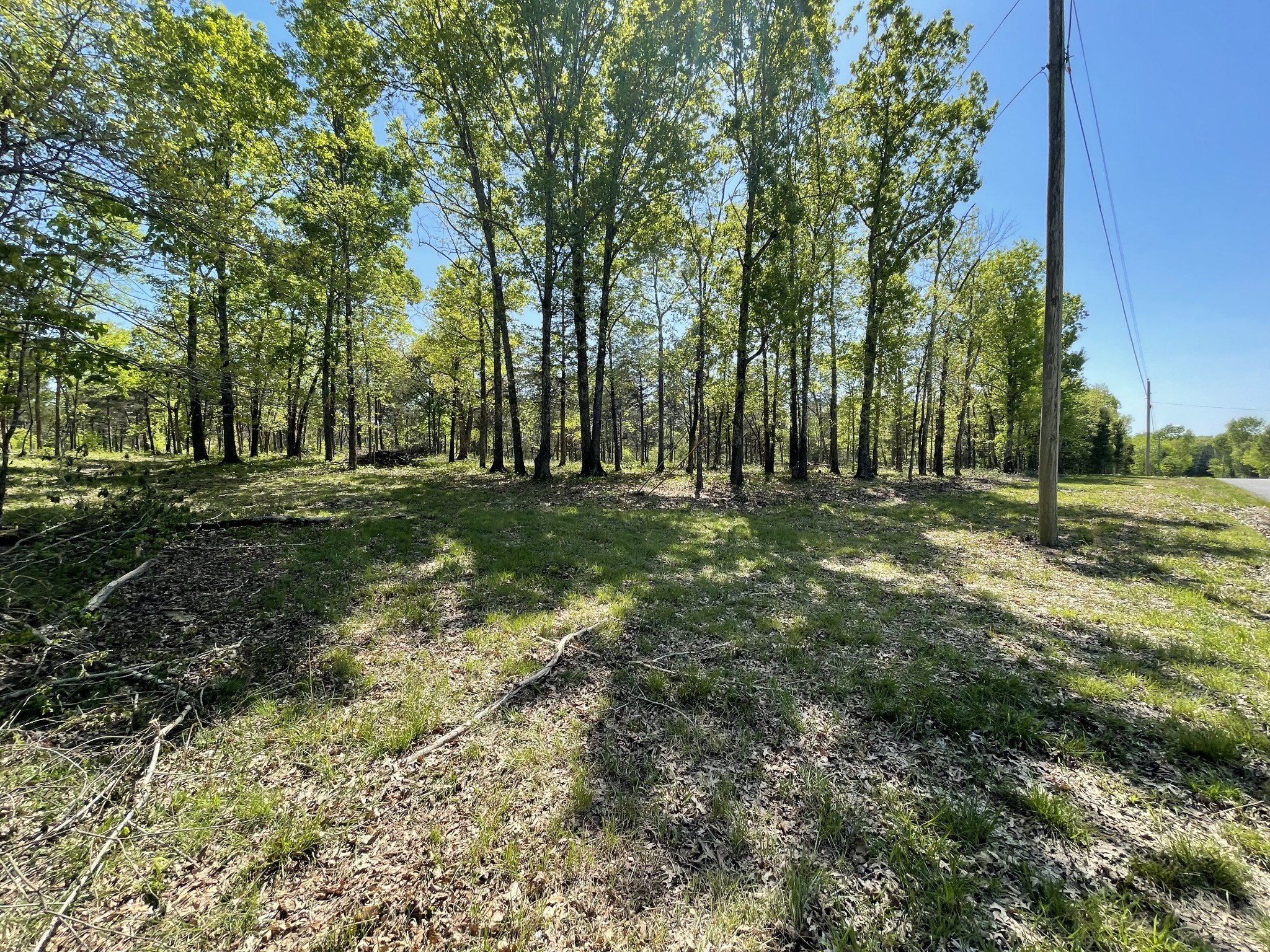 0 Hopkins Bridge Road Unionville, TN 37180 - Photo 22 of 25 Gallery Image 22