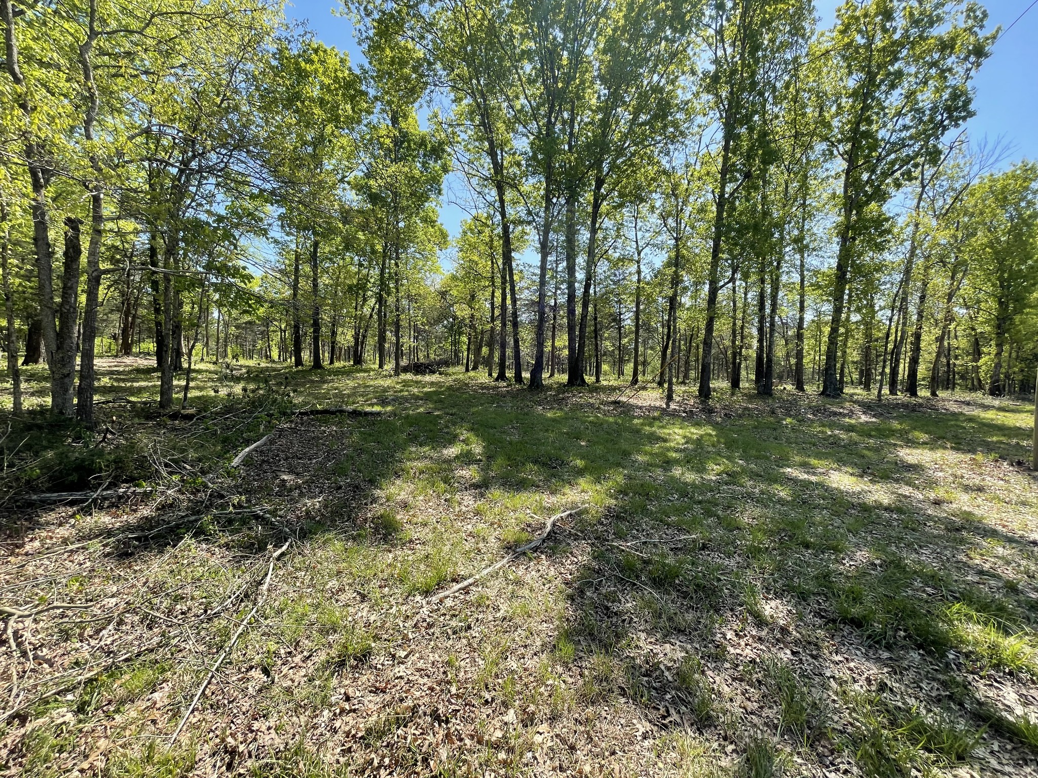 0 Hopkins Bridge Road Unionville, TN 37180 - Photo 23 of 25 Gallery Image 23