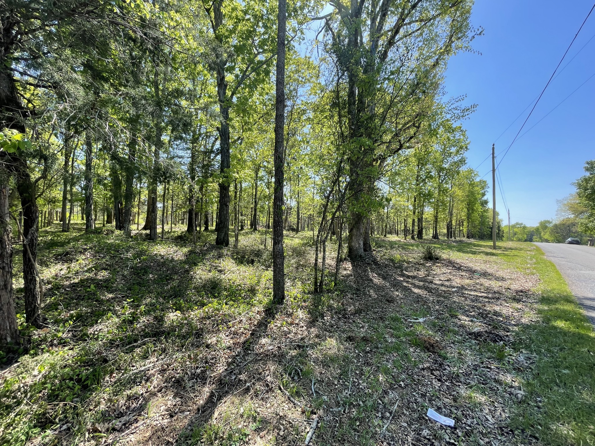 0 Hopkins Bridge Road Unionville, TN 37180 - Photo 24 of 25 Gallery Image 24