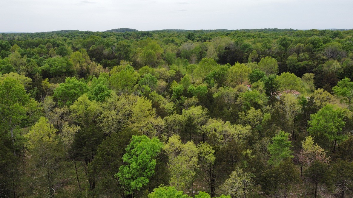 0 Hopkins Bridge Road Unionville, TN 37180 - Photo 3 of 25 Gallery Image 3
