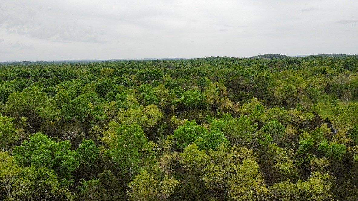 0 Hopkins Bridge Road Unionville, TN 37180 - Photo 4 of 25 Gallery Image 4