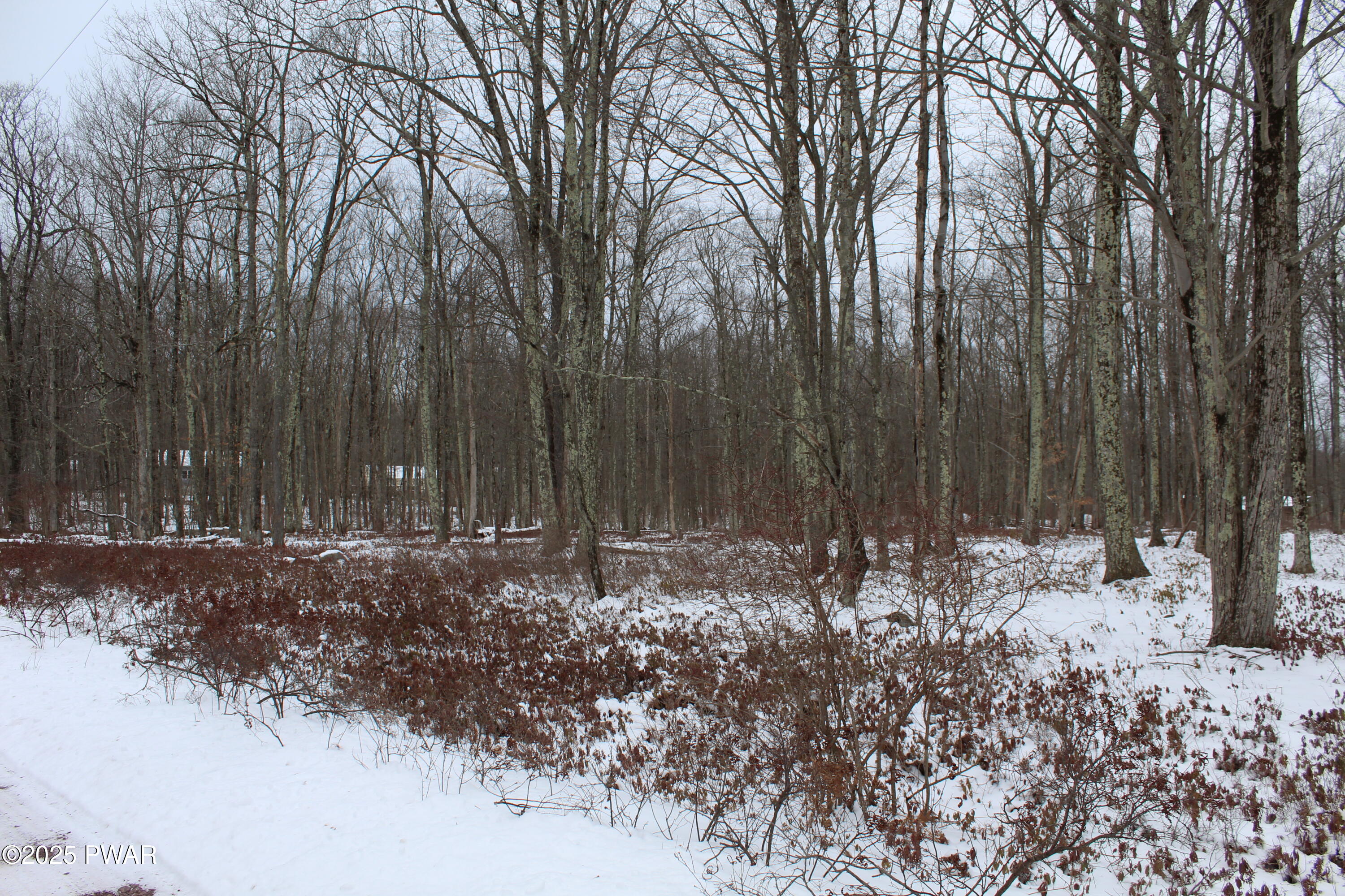 Lot 133 Ironwood & Ruff Road Canadensis, PA 18325 - Photo 8 of 17 View along Ruff Road 2