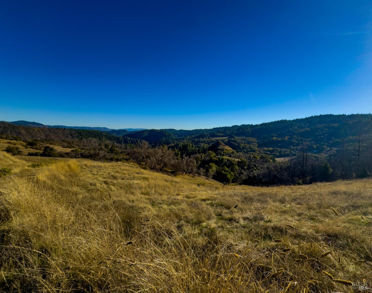 9501 Big John Road Willits, CA 95490 - Photo 13 of 16 a view of an ocean beach