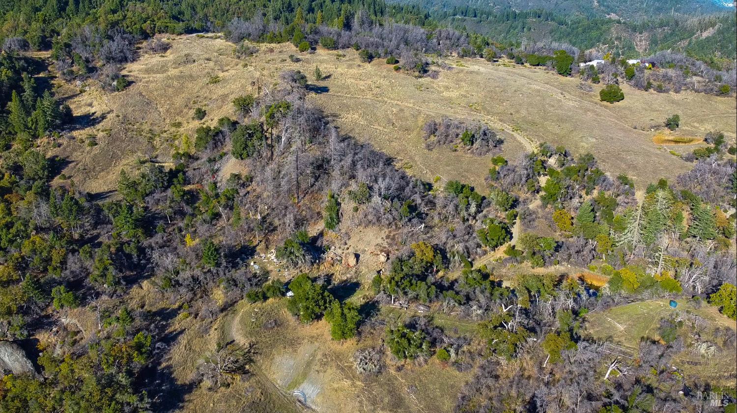 9501 Big John Road Willits, CA 95490 - Photo 15 of 16 a view of a forest covered with trees