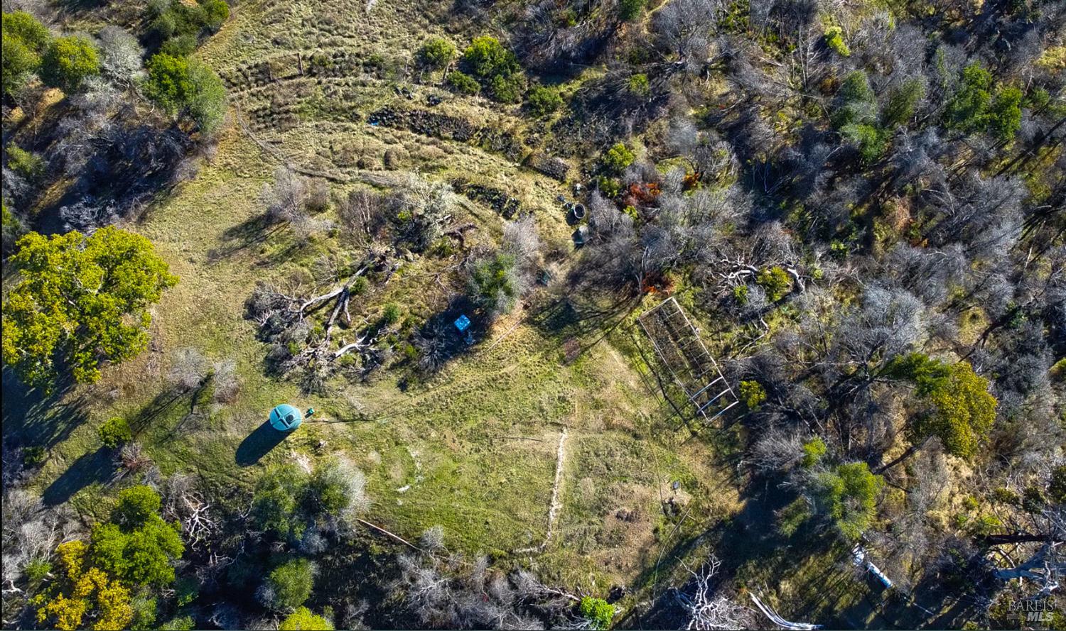 9501 Big John Road Willits, CA 95490 - Photo 2 of 16 a view of a forest with a tree