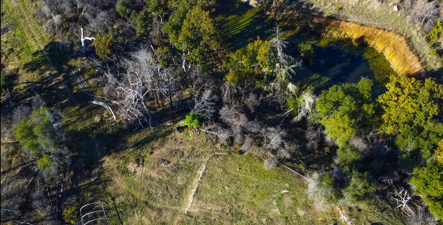 9501 Big John Road Willits, CA 95490 - Photo 4 of 16 a yard with a tree