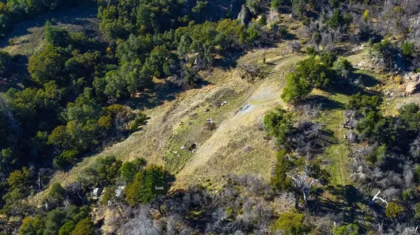 a view of a garden with plants