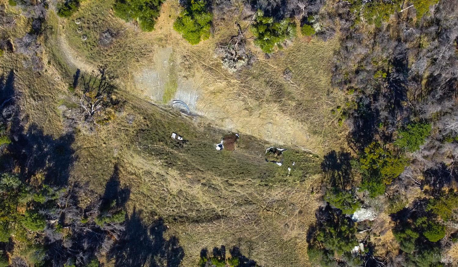 9501 Big John Road Willits, CA 95490 - Photo 6 of 16 a aerial view of a house with a yard