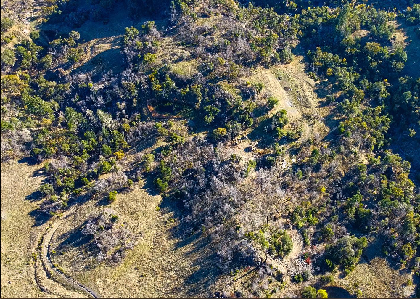 9501 Big John Road Willits, CA 95490 - Photo 8 of 16 a view of a tree
