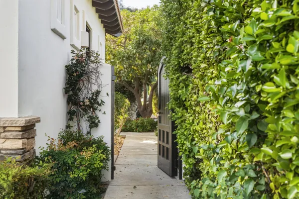 view of a potted plants next to a wall