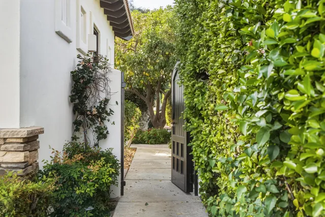 view of a potted plants next to a wall