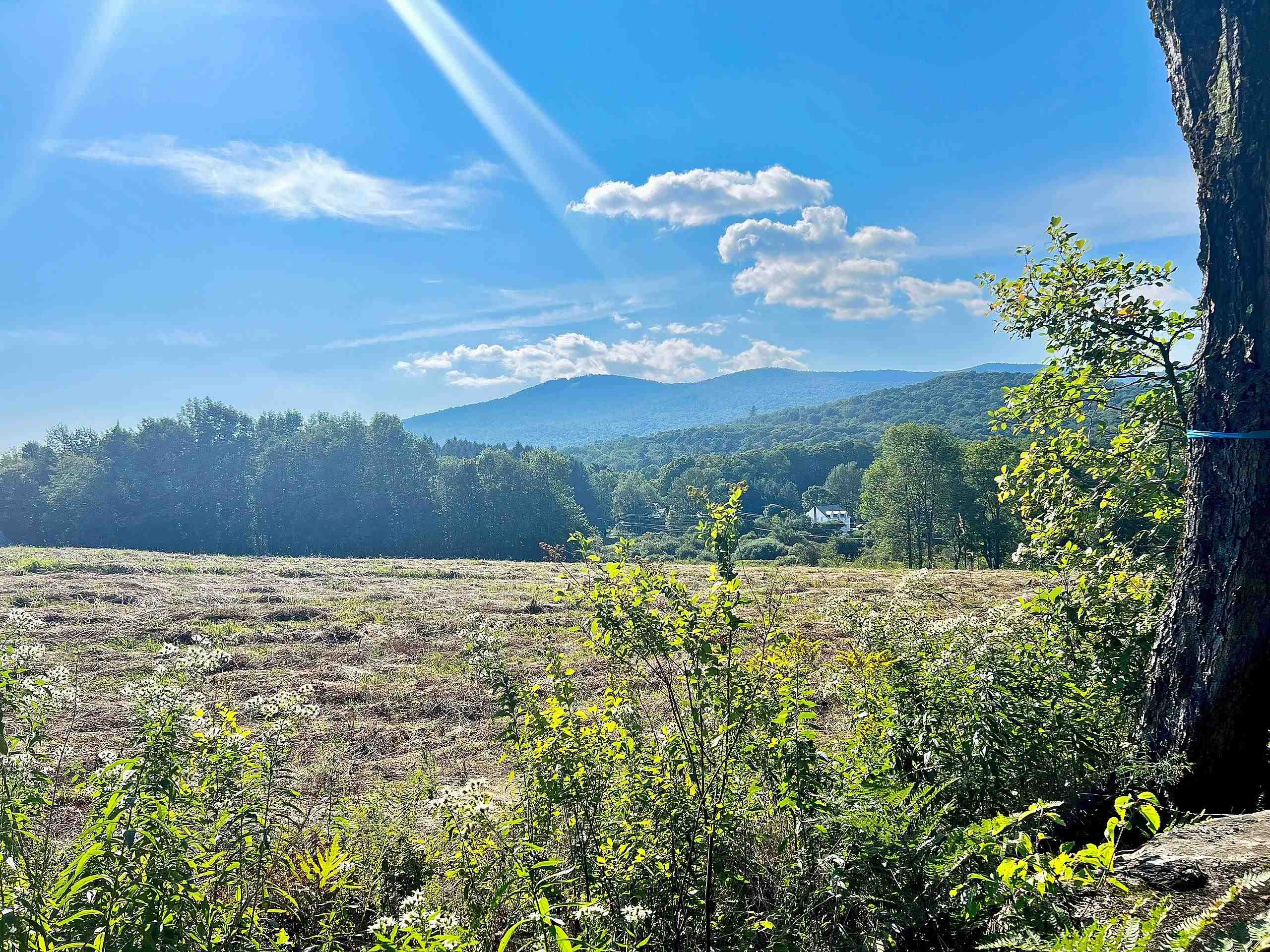 0 Route 11 Peru Vt 05152 Peru, VT 05152 - Photo 13 of 33