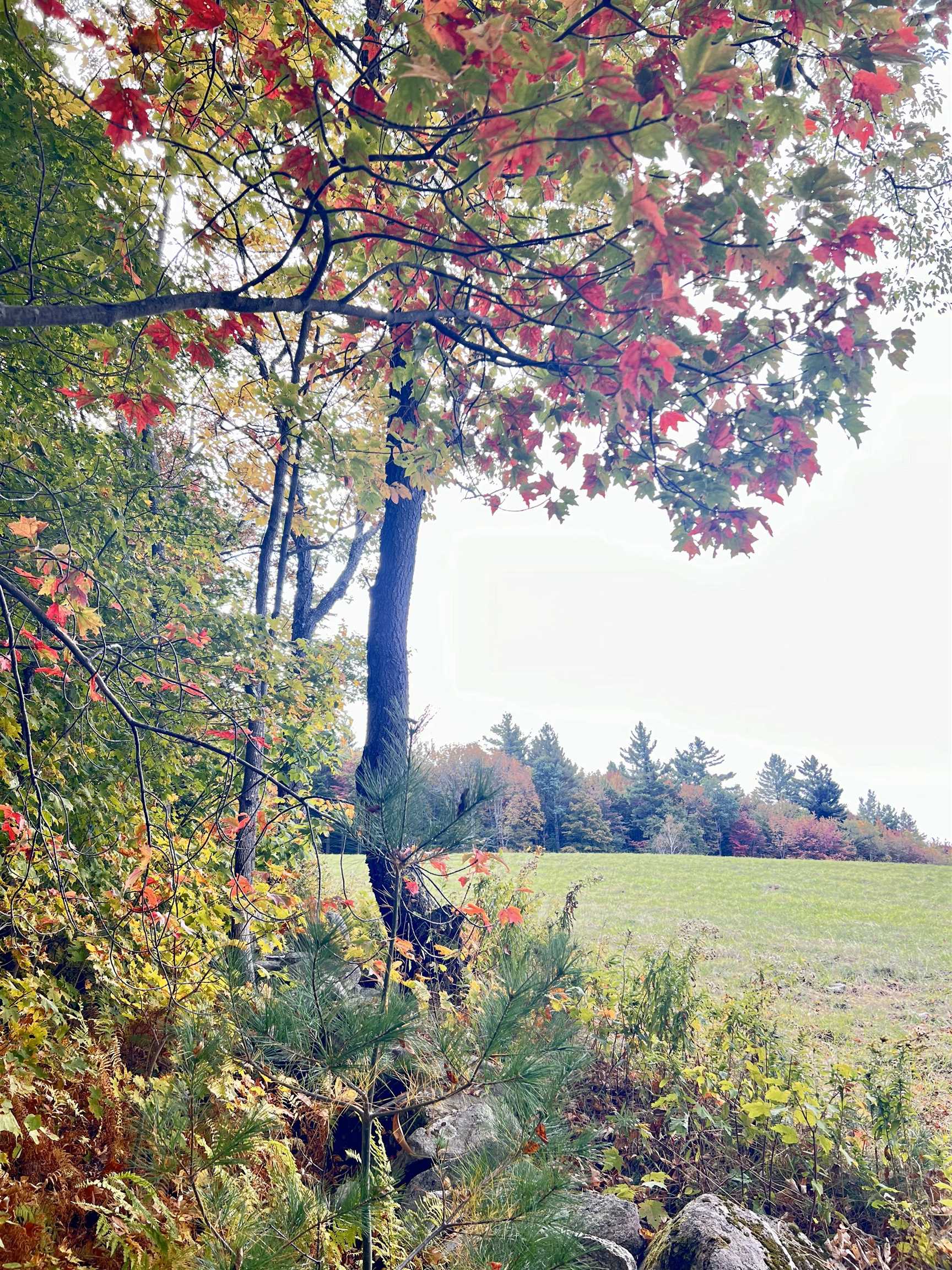 0 Route 11 Peru Vt 05152 Peru, VT 05152 - Photo 14 of 33