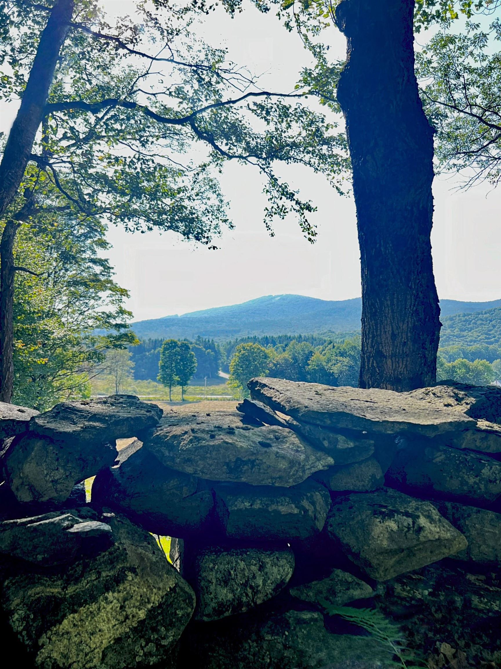 0 Route 11 Peru Vt 05152 Peru, VT 05152 - Photo 15 of 33