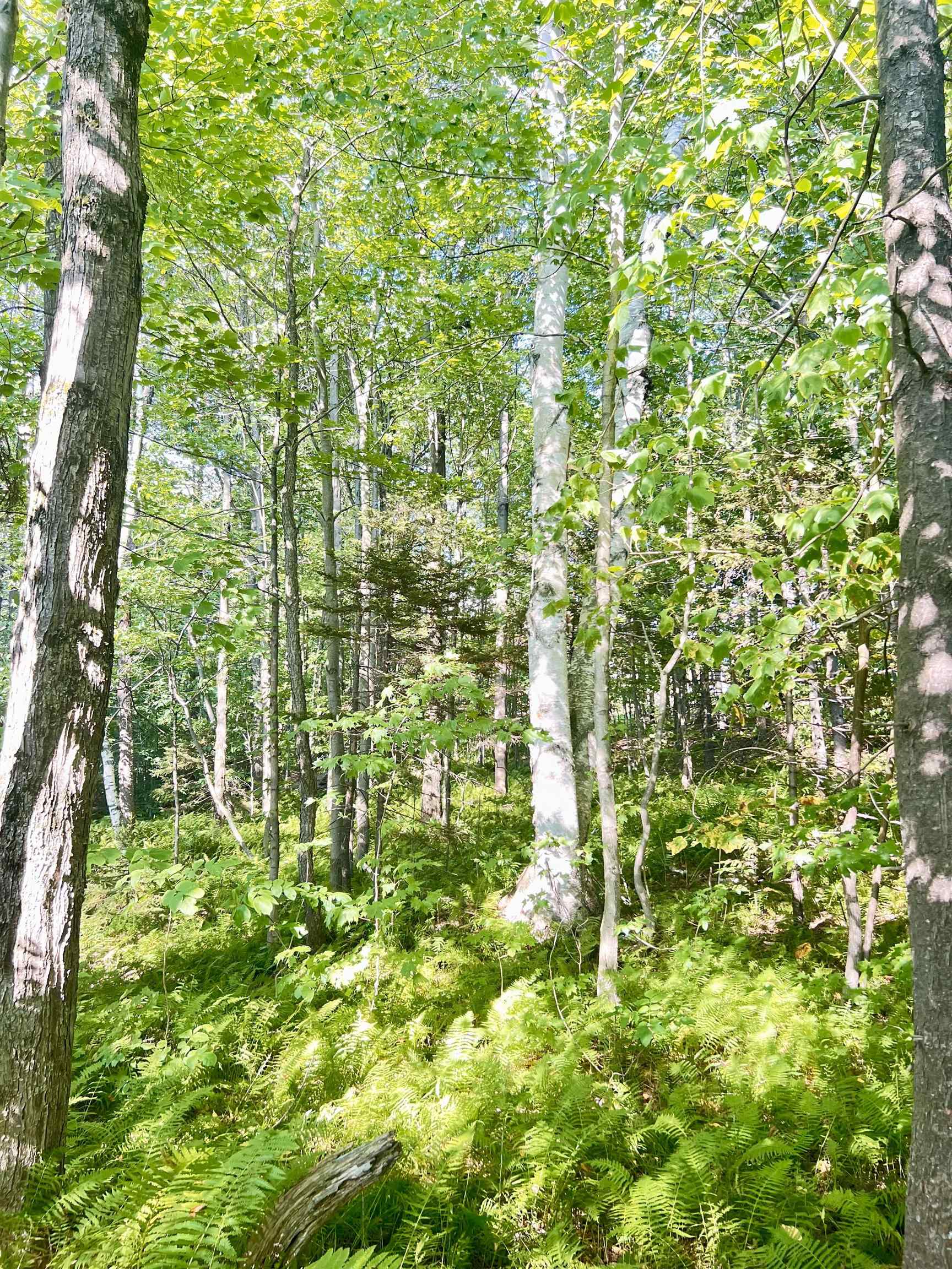 0 Route 11 Peru Vt 05152 Peru, VT 05152 - Photo 18 of 33