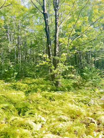 $575,000 | 0 Route 11 Peru Vt 05152, Peru, VT 05152