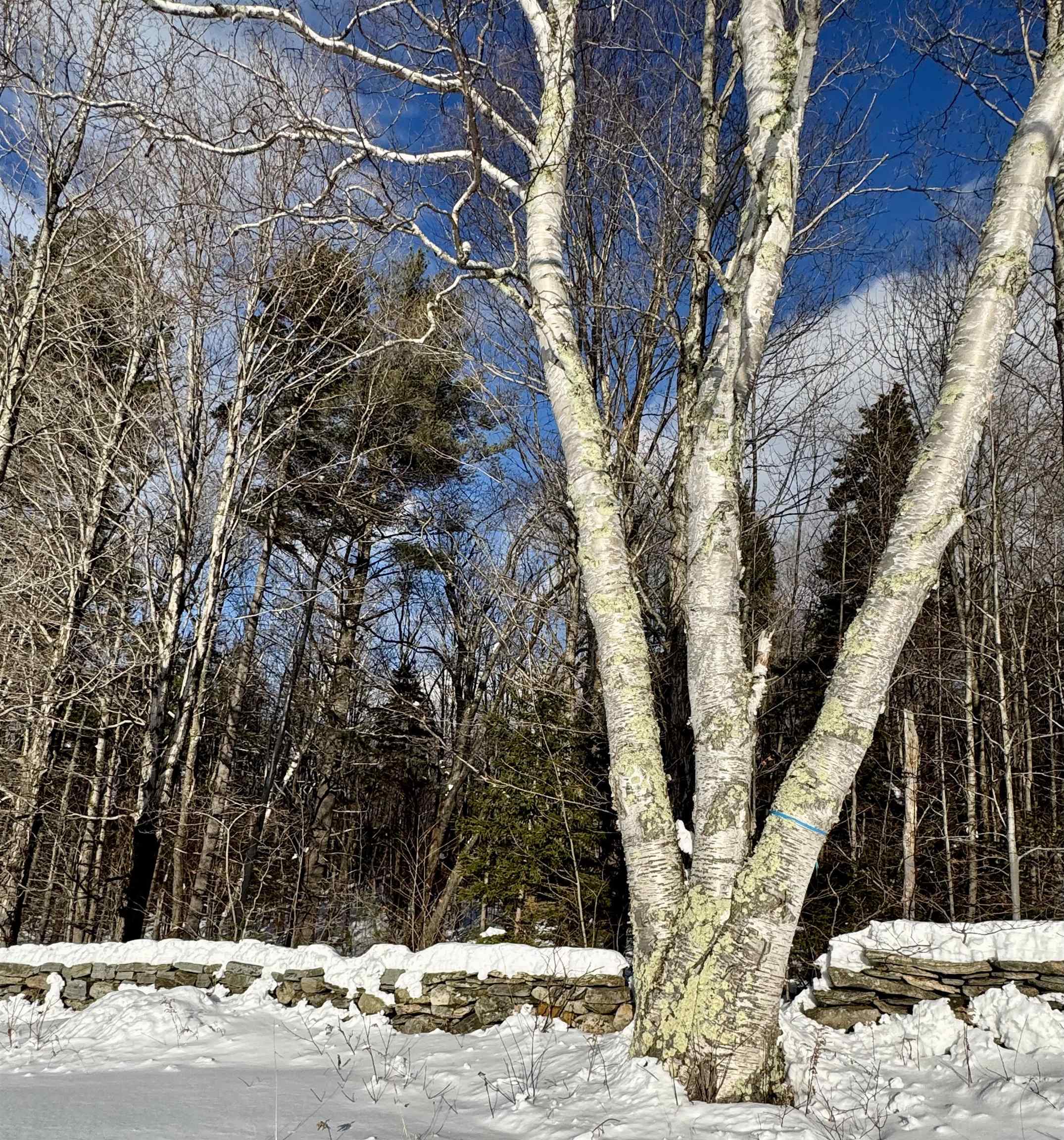 0 Route 11 Peru Vt 05152 Peru, VT 05152 - Photo 2 of 33