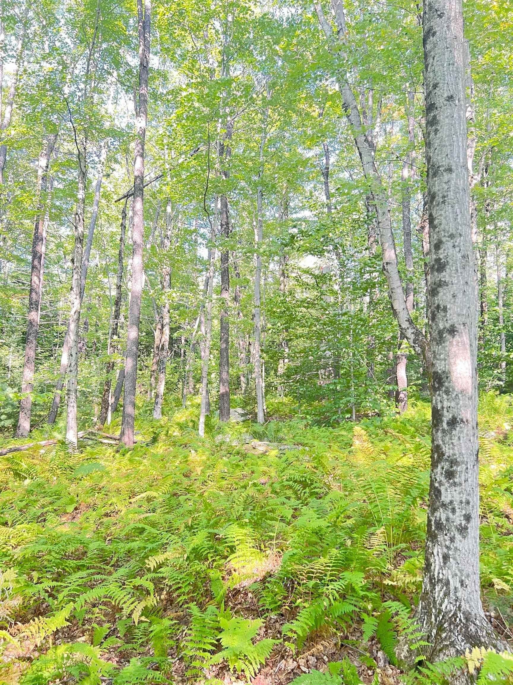 0 Route 11 Peru Vt 05152 Peru, VT 05152 - Photo 25 of 33