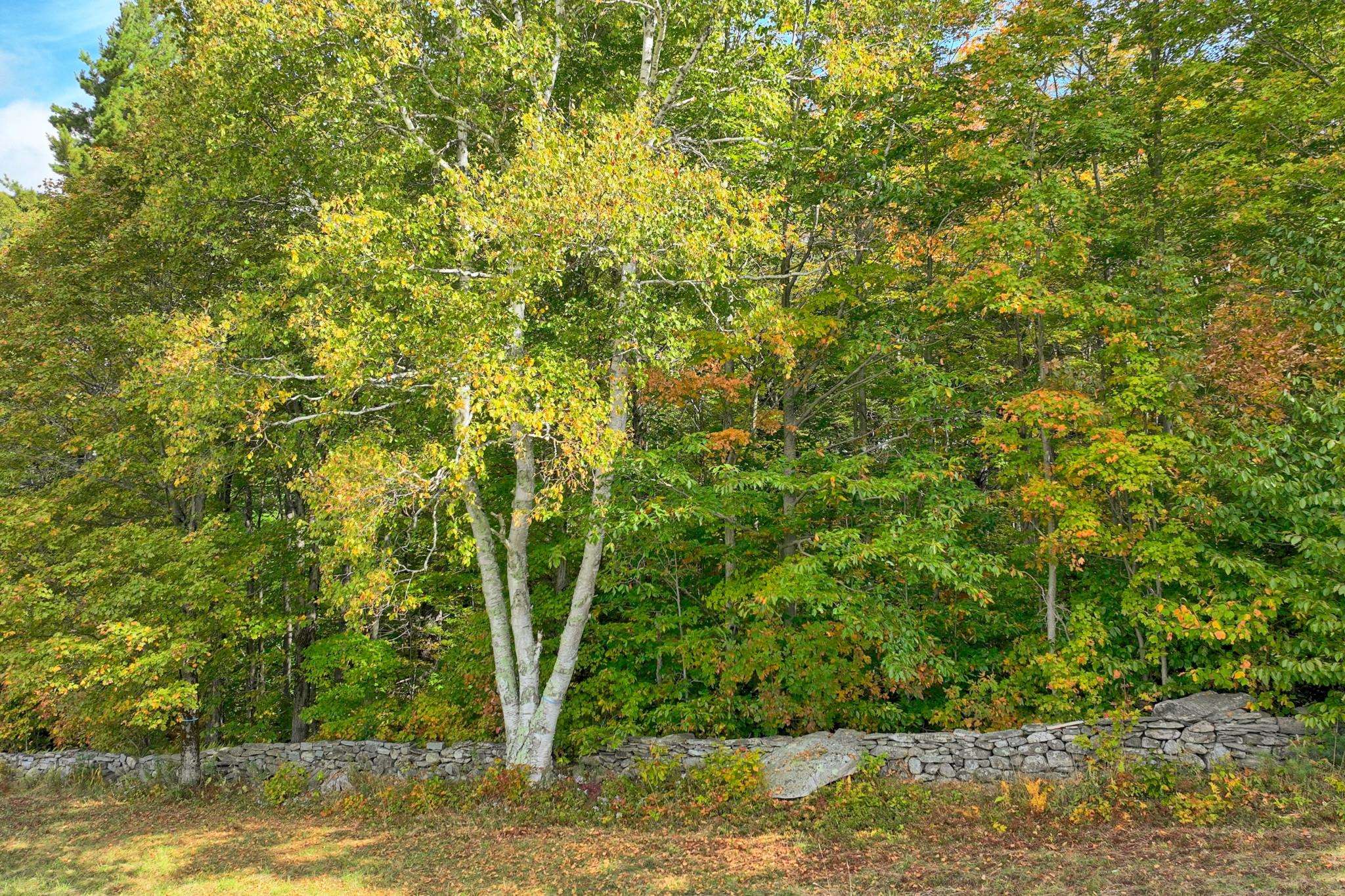 0 Route 11 Peru Vt 05152 Peru, VT 05152 - Photo 25 of 33