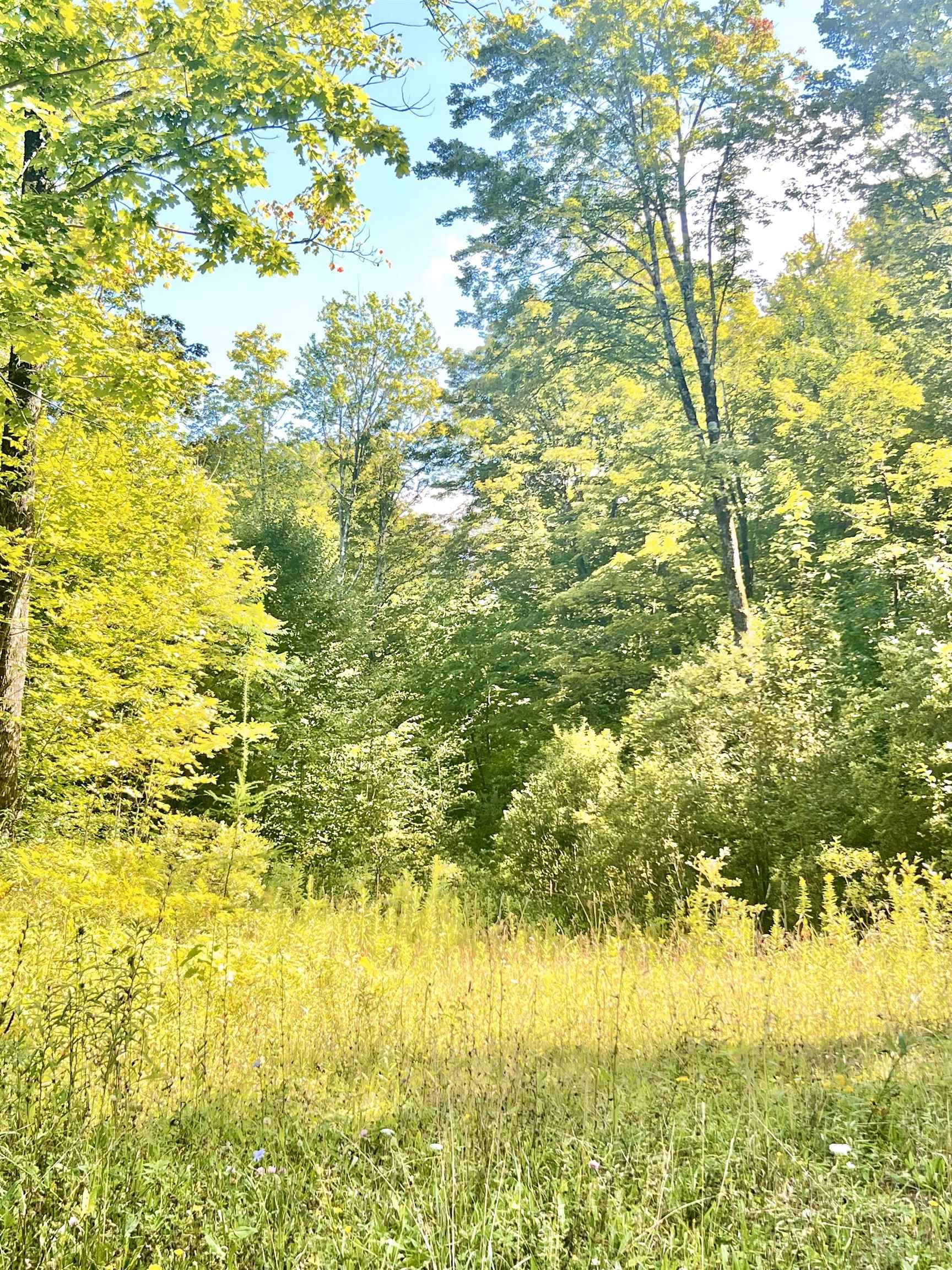 0 Route 11 Peru Vt 05152 Peru, VT 05152 - Photo 27 of 33