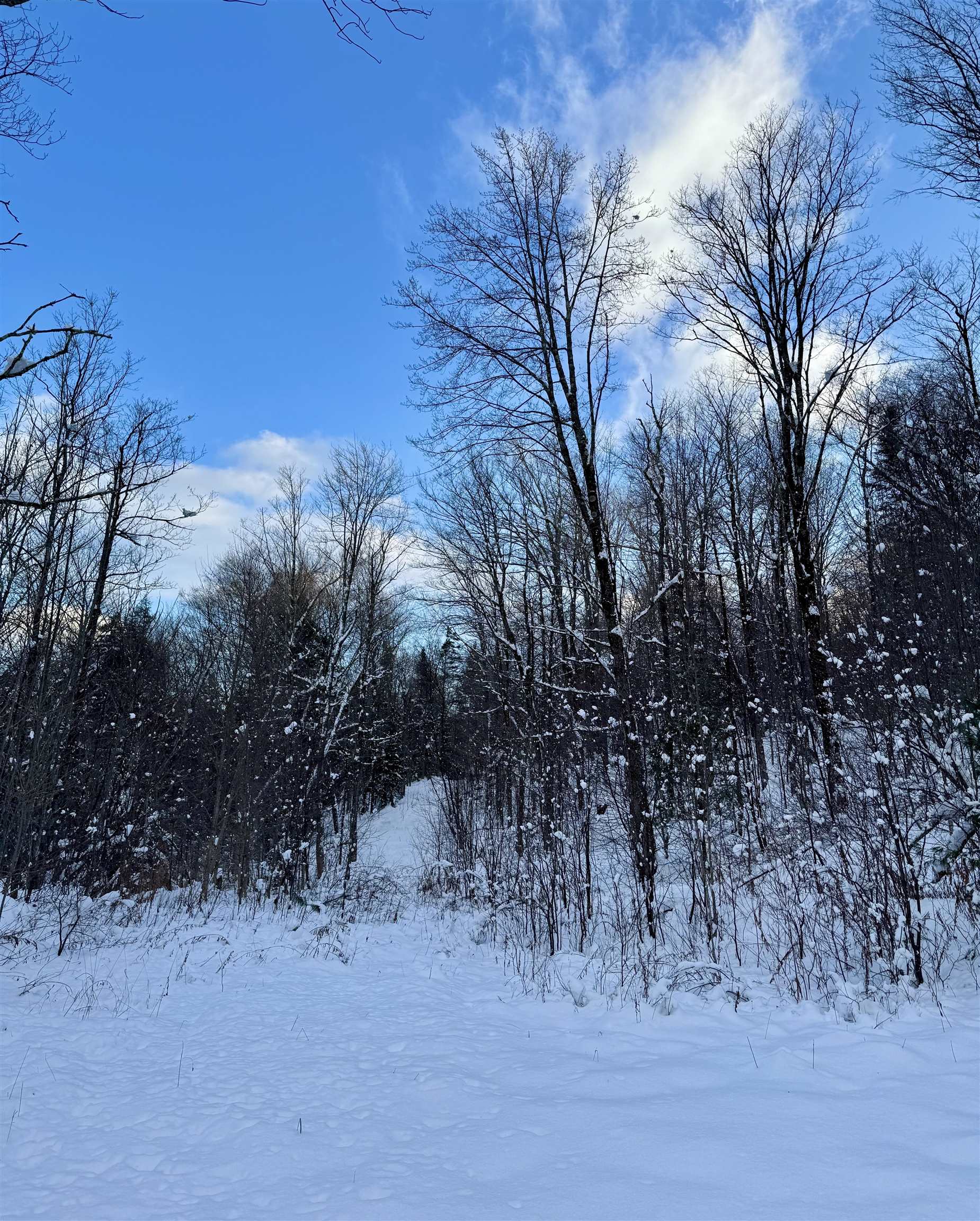 0 Route 11 Peru Vt 05152 Peru, VT 05152 - Photo 3 of 33