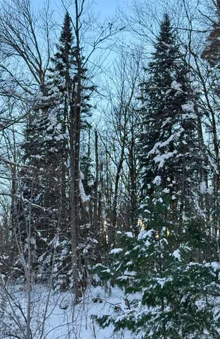 $575,000 | 0 Route 11 Peru Vt 05152, Peru, VT 05152