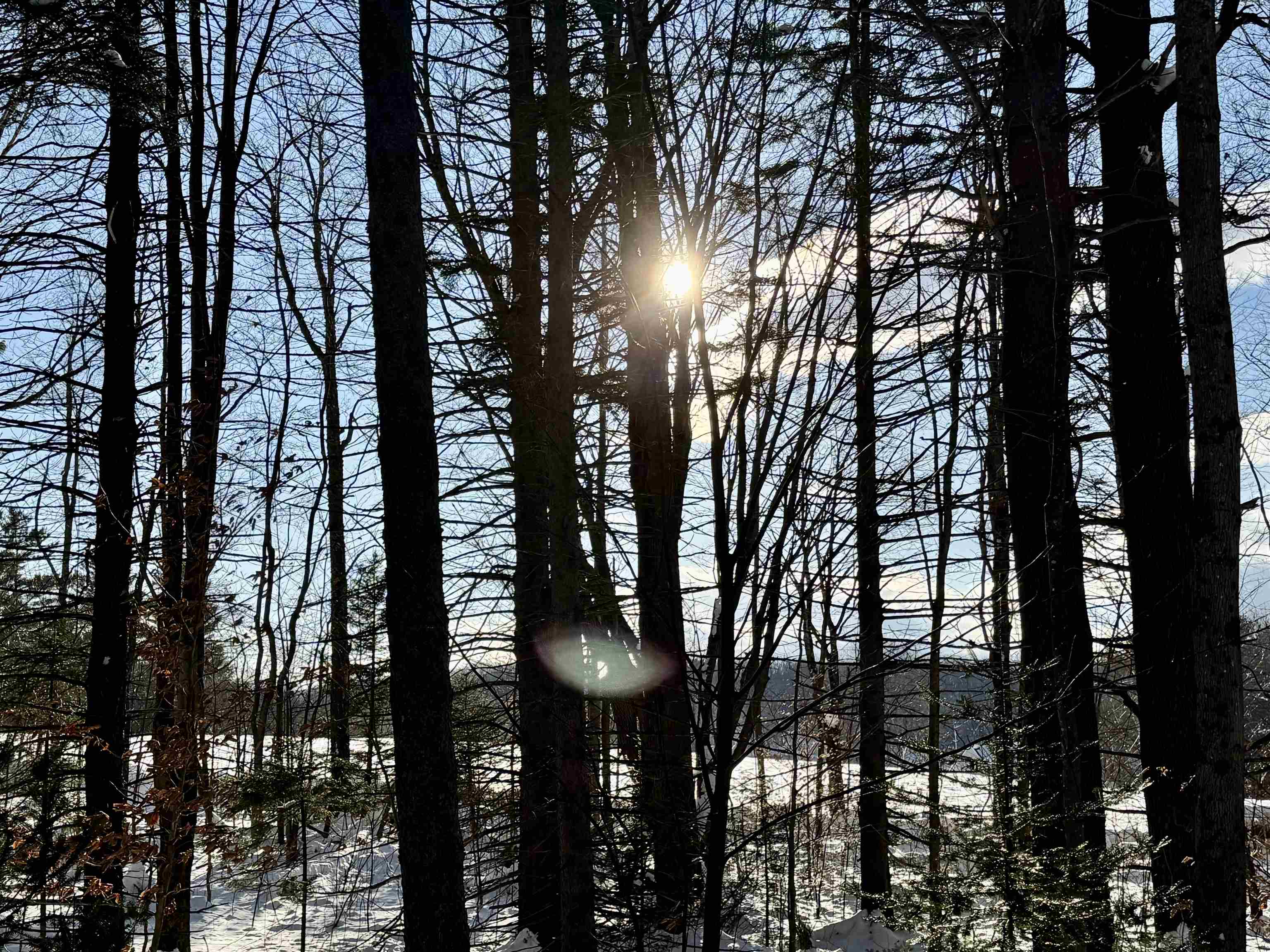 0 Route 11 Peru Vt 05152 Peru, VT 05152 - Photo 33 of 33