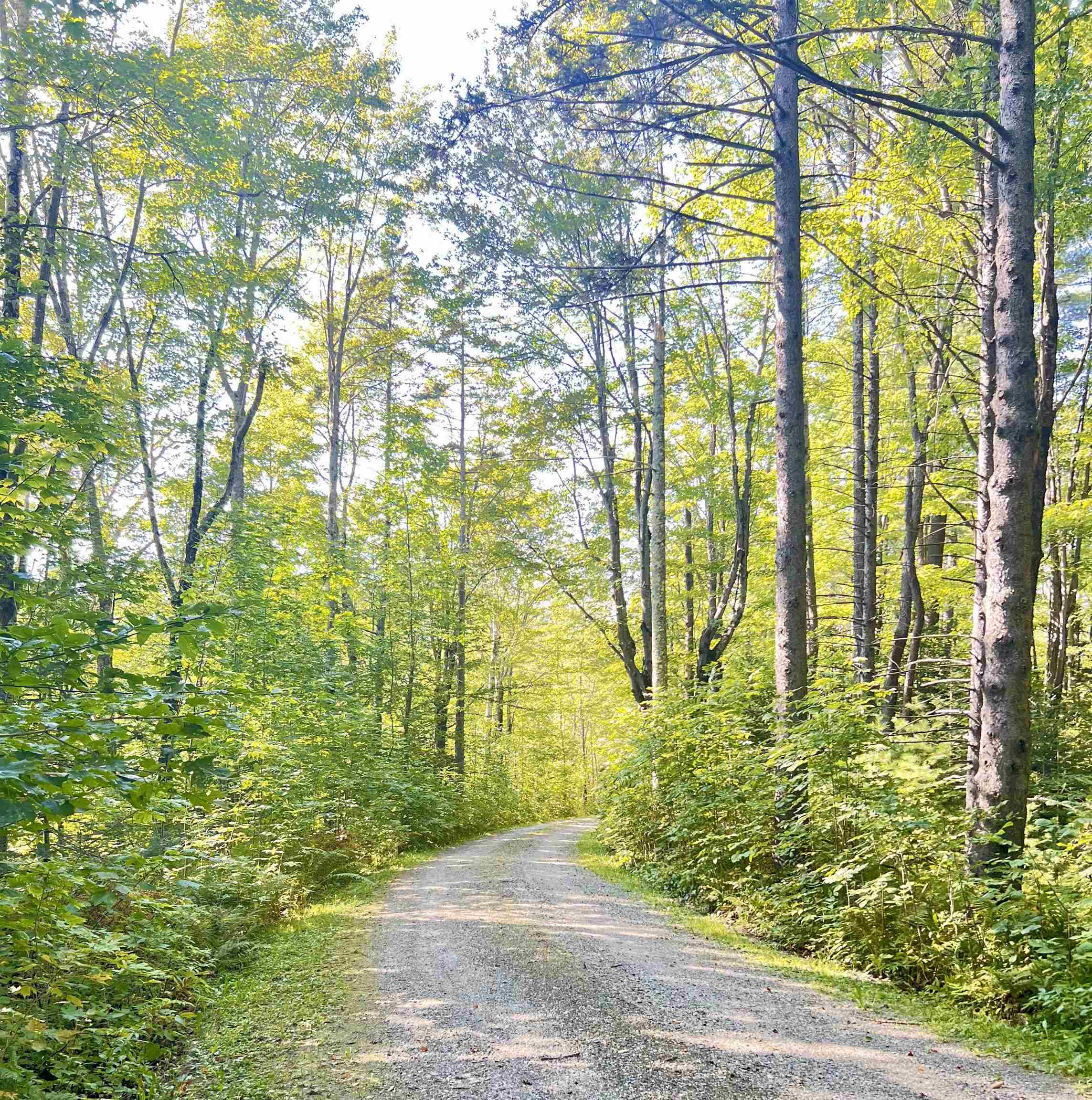 0 Route 11 Peru Vt 05152 Peru, VT 05152 - Photo 5 of 33