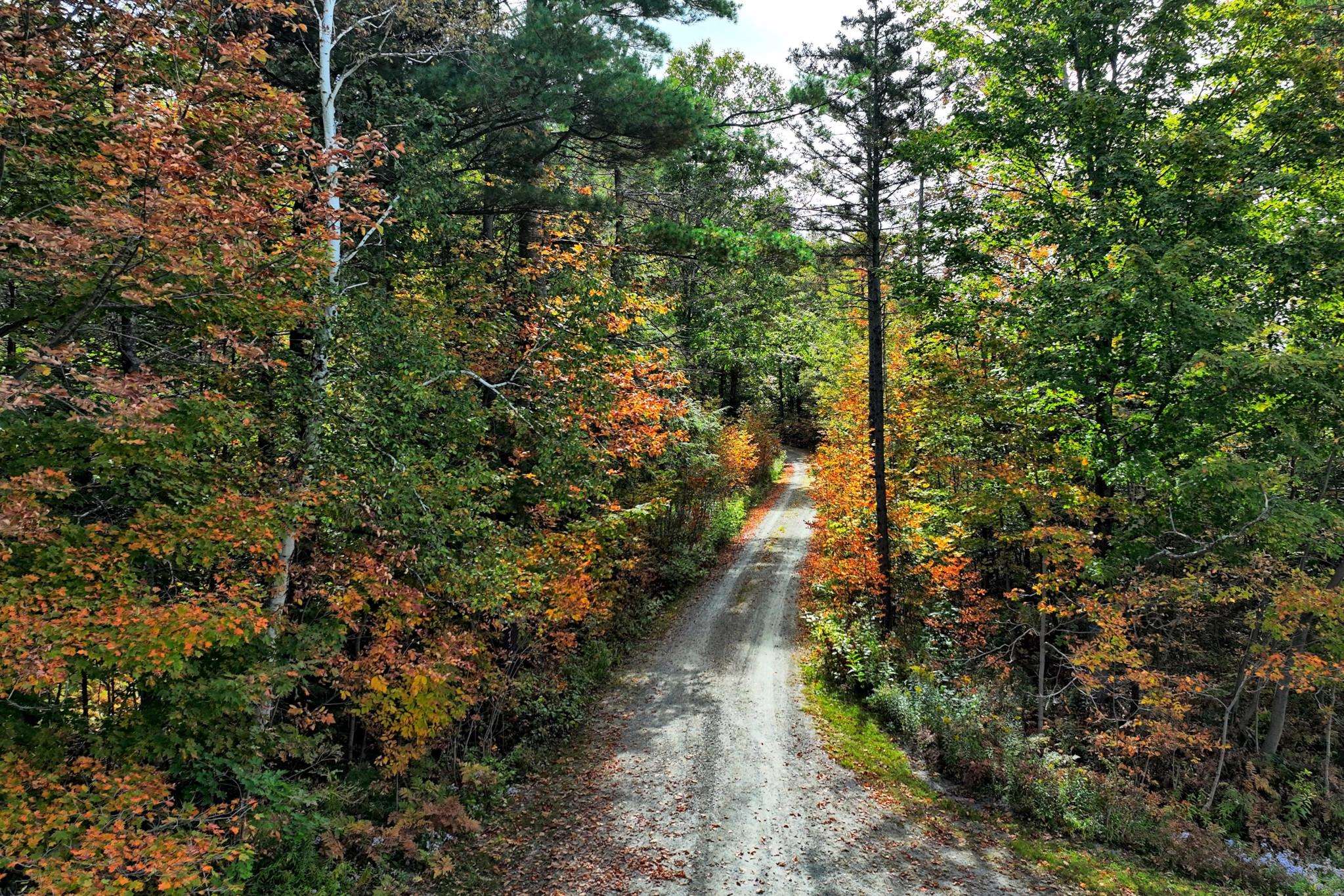0 Route 11 Peru Vt 05152 Peru, VT 05152 - Photo 7 of 33