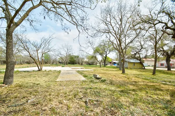 a view of yard with trees