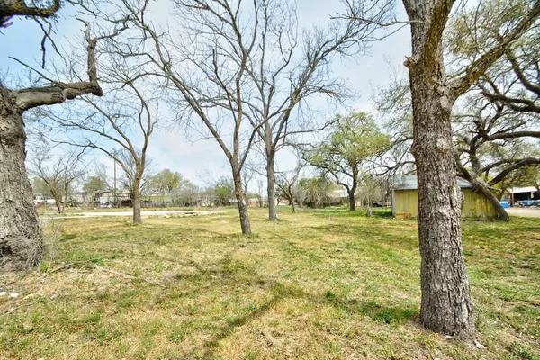 a view of yard with green space