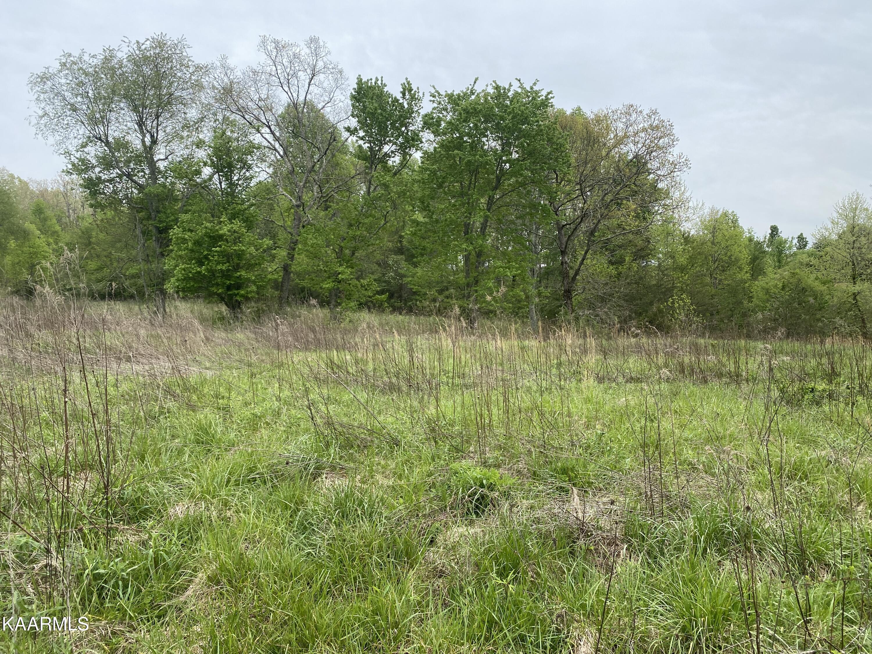 Bud Tanner Road Crossville, TN 38571 - Photo 1 of 13 DF9C4912-24FD-4CE7-8E89-60EEAFDA5949