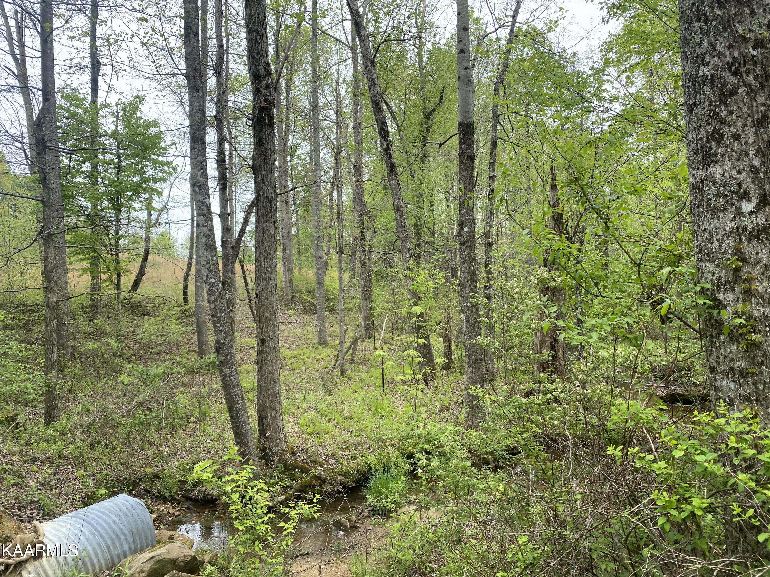 Bud Tanner Road Crossville, TN 38571 - Photo 11 of 13 0026028B-8D7E-4AD8-9286-E5F08490D04E