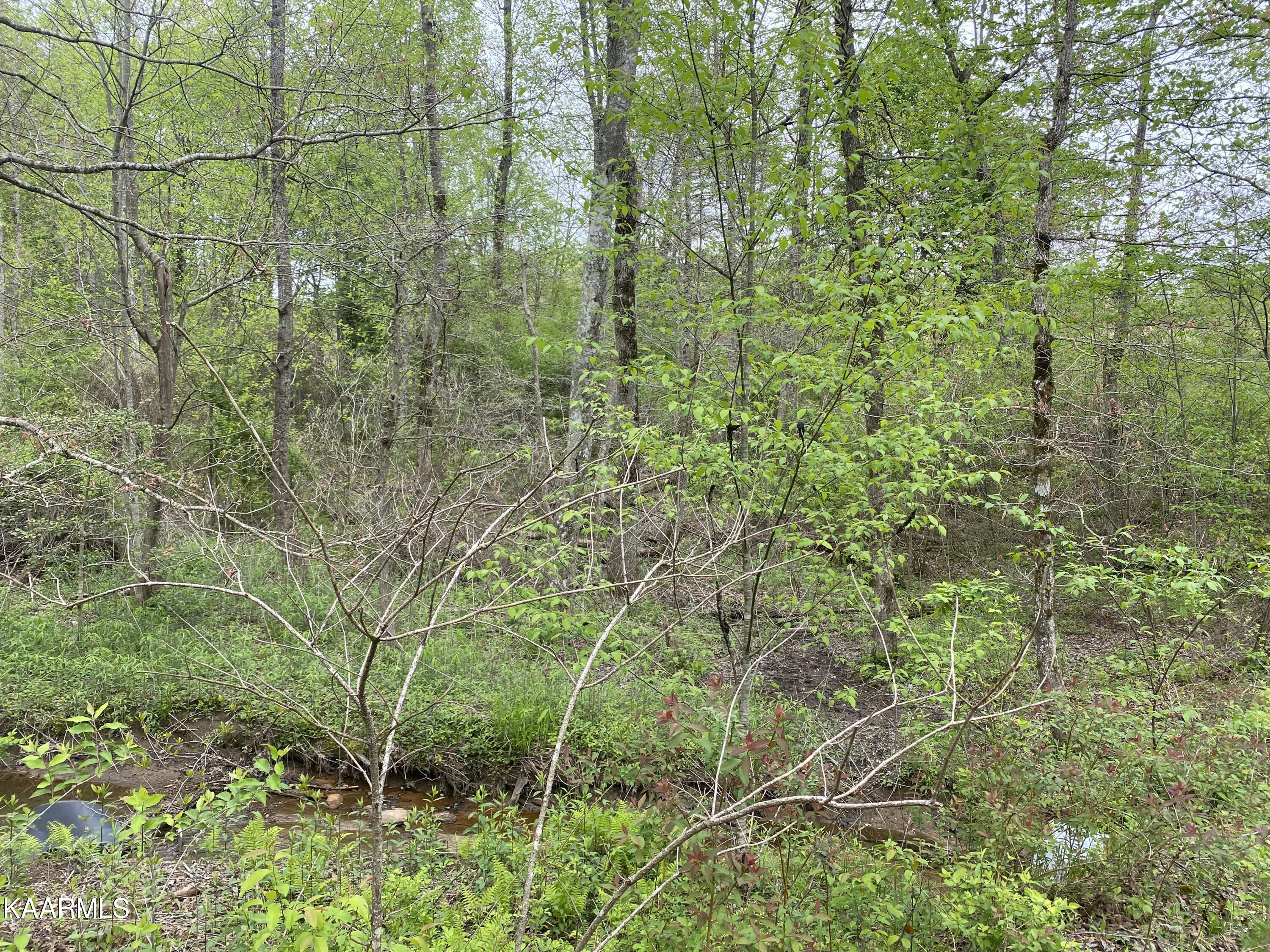 Bud Tanner Road Crossville, TN 38571 - Photo 12 of 13 B6BA6C08-3D19-4664-B311-7EEE4329BE0A