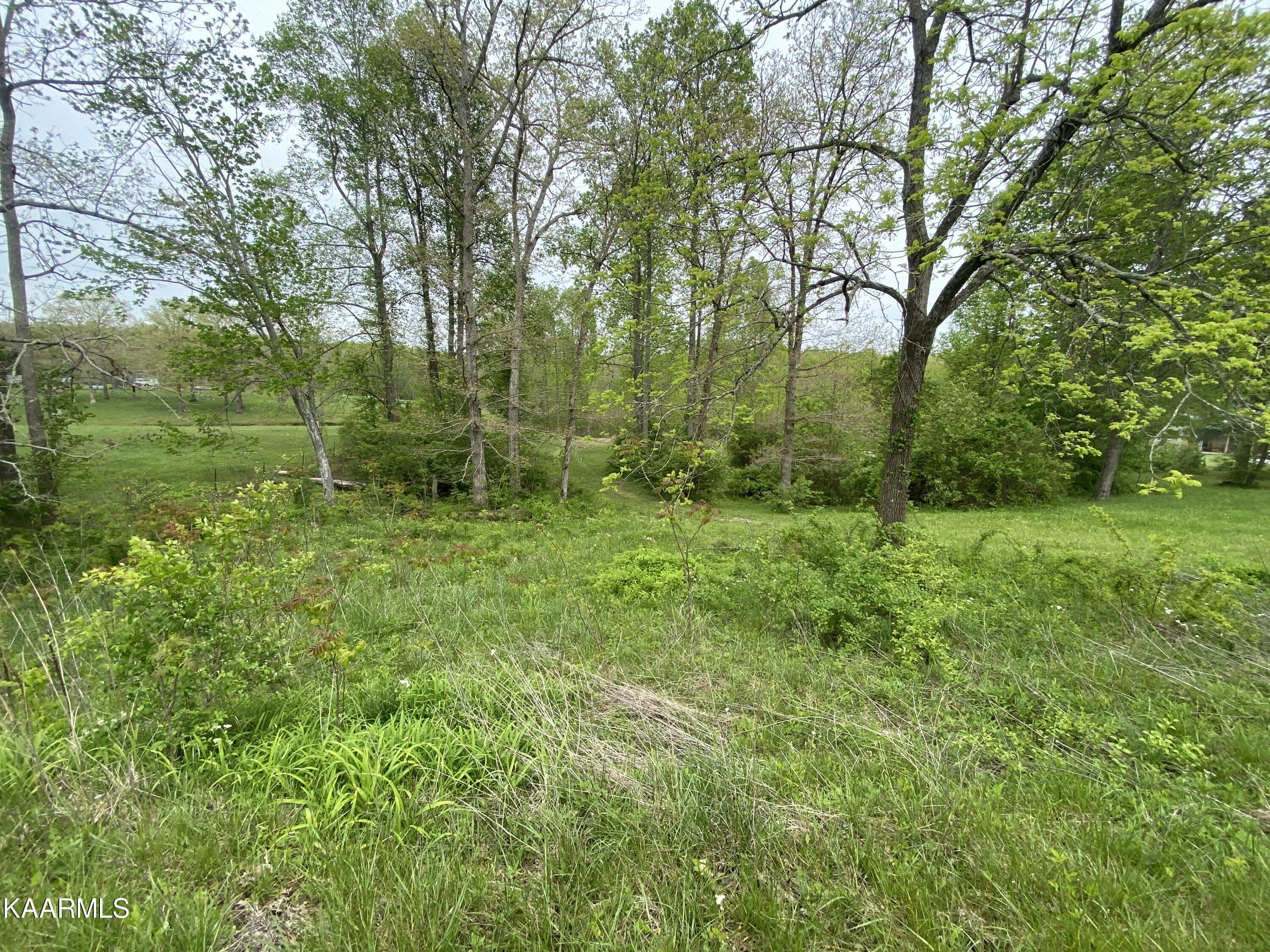 Bud Tanner Road Crossville, TN 38571 - Photo 13 of 13 4931DA26-235B-4516-968A-42B9C31D7C25