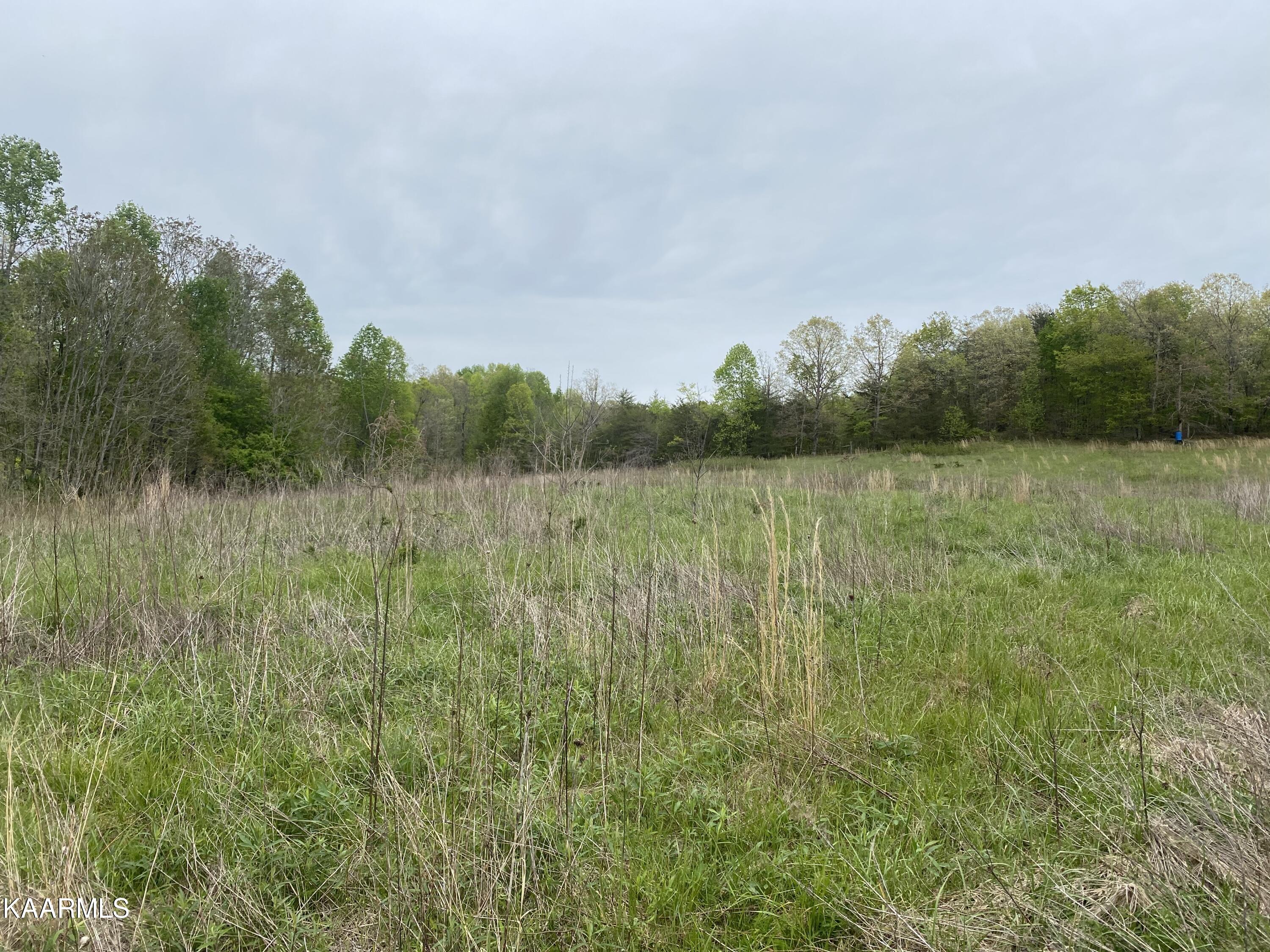 Bud Tanner Road Crossville, TN 38571 - Photo 2 of 13 0490570E-83E6-44DC-8625-E5DF0340C201