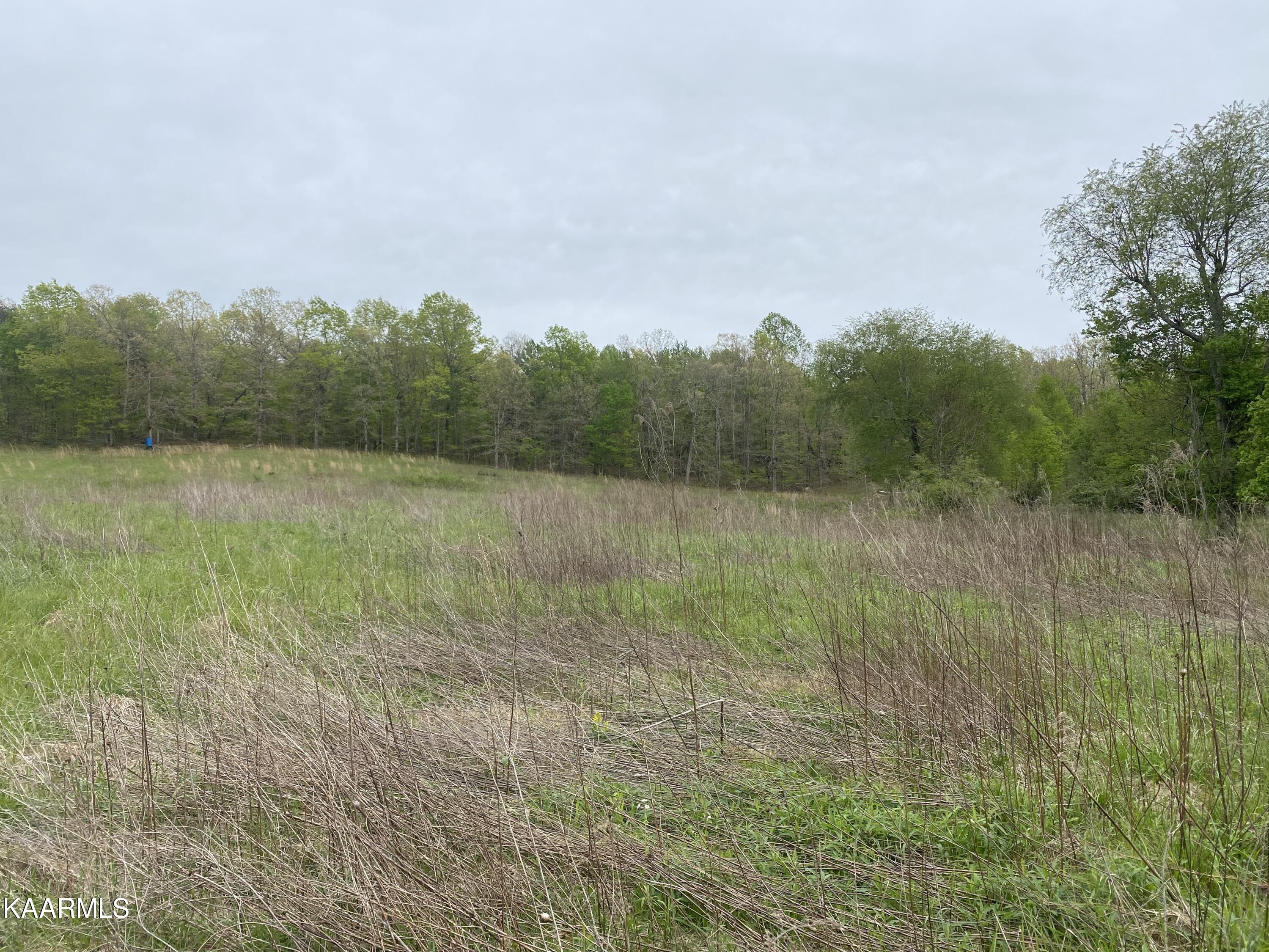 Bud Tanner Road Crossville, TN 38571 - Photo 3 of 13 930118F2-3583-41F4-8217-66C5401A64FB