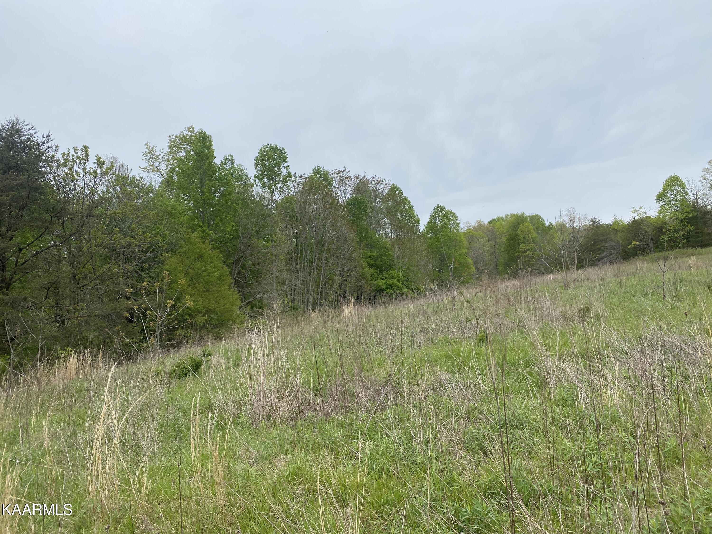 Bud Tanner Road Crossville, TN 38571 - Photo 4 of 13 889819F3-79A5-4546-9B2E-F0E6881A1BFA