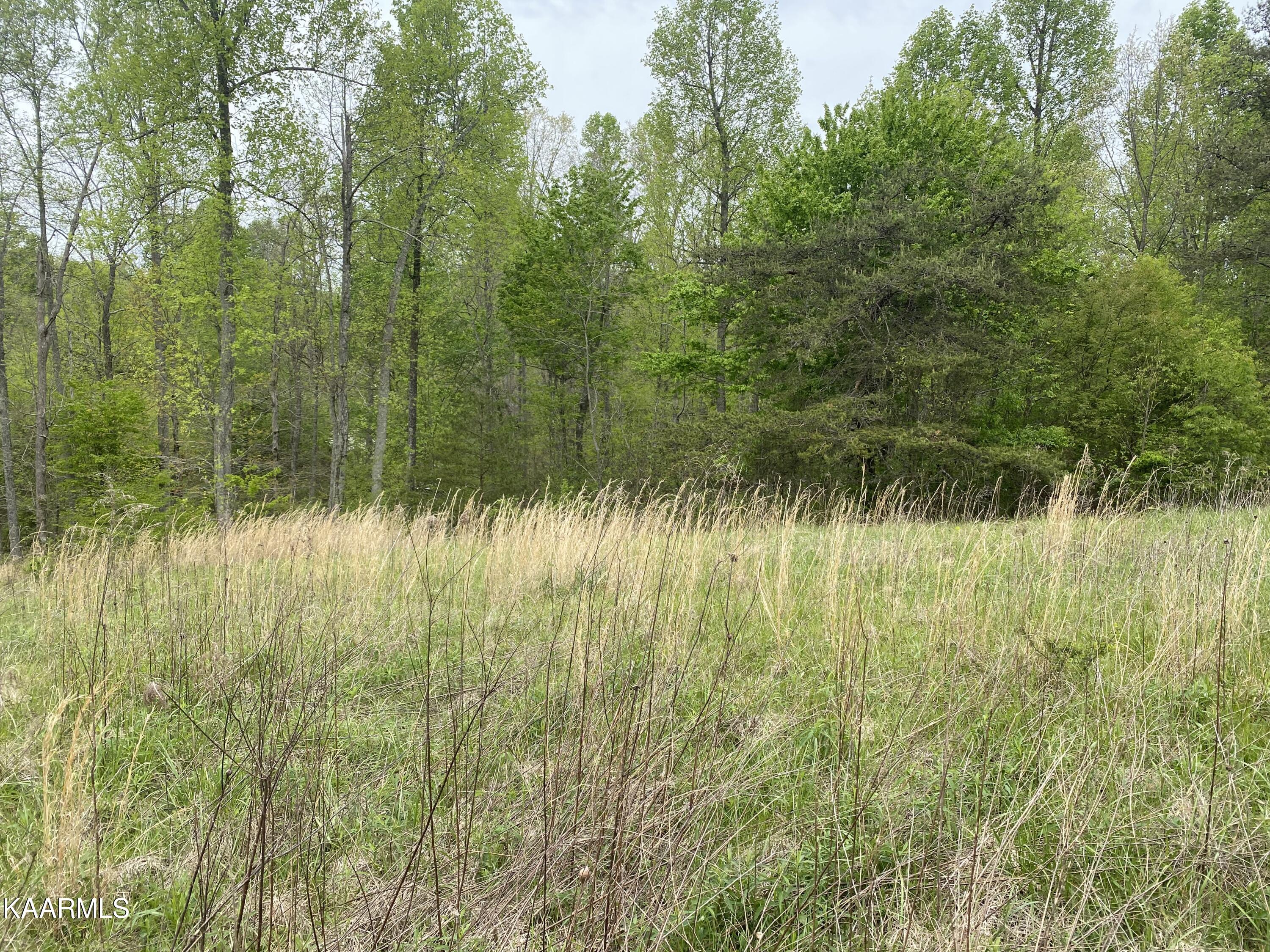 Bud Tanner Road Crossville, TN 38571 - Photo 5 of 13 B2505013-1129-480A-9510-ECFCC8C28B33