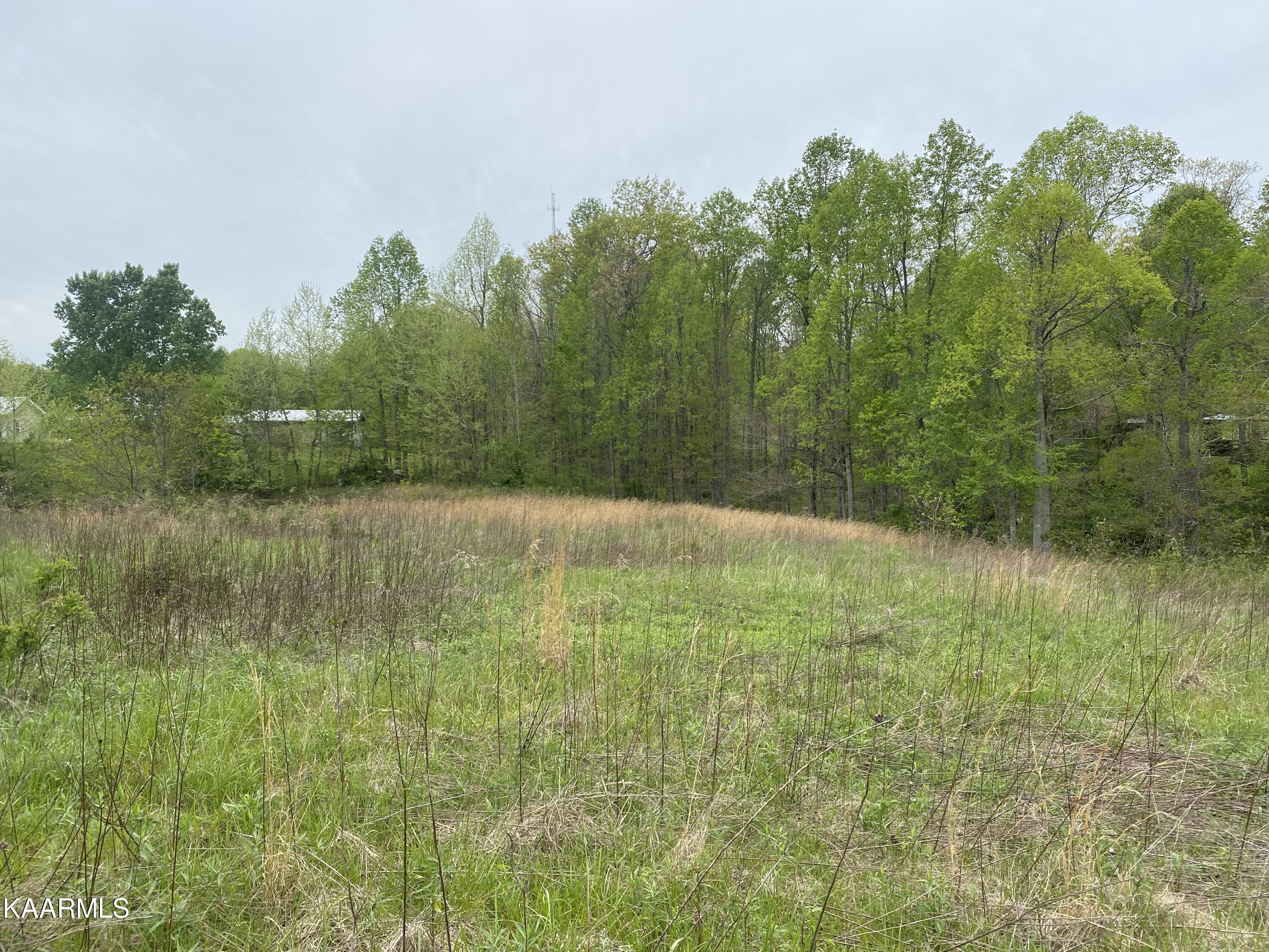 Bud Tanner Road Crossville, TN 38571 - Photo 6 of 13 D1D3906D-B43F-4EC6-8B2E-B6A245E74266