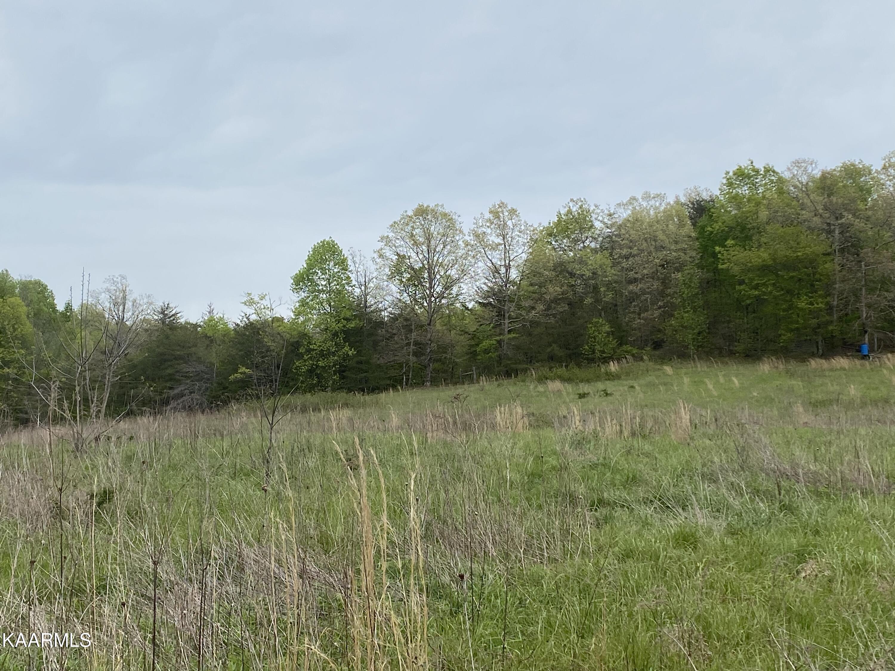 Bud Tanner Road Crossville, TN 38571 - Photo 7 of 13 861E6258-A71A-4D79-A8A8-DAE9F498BA76