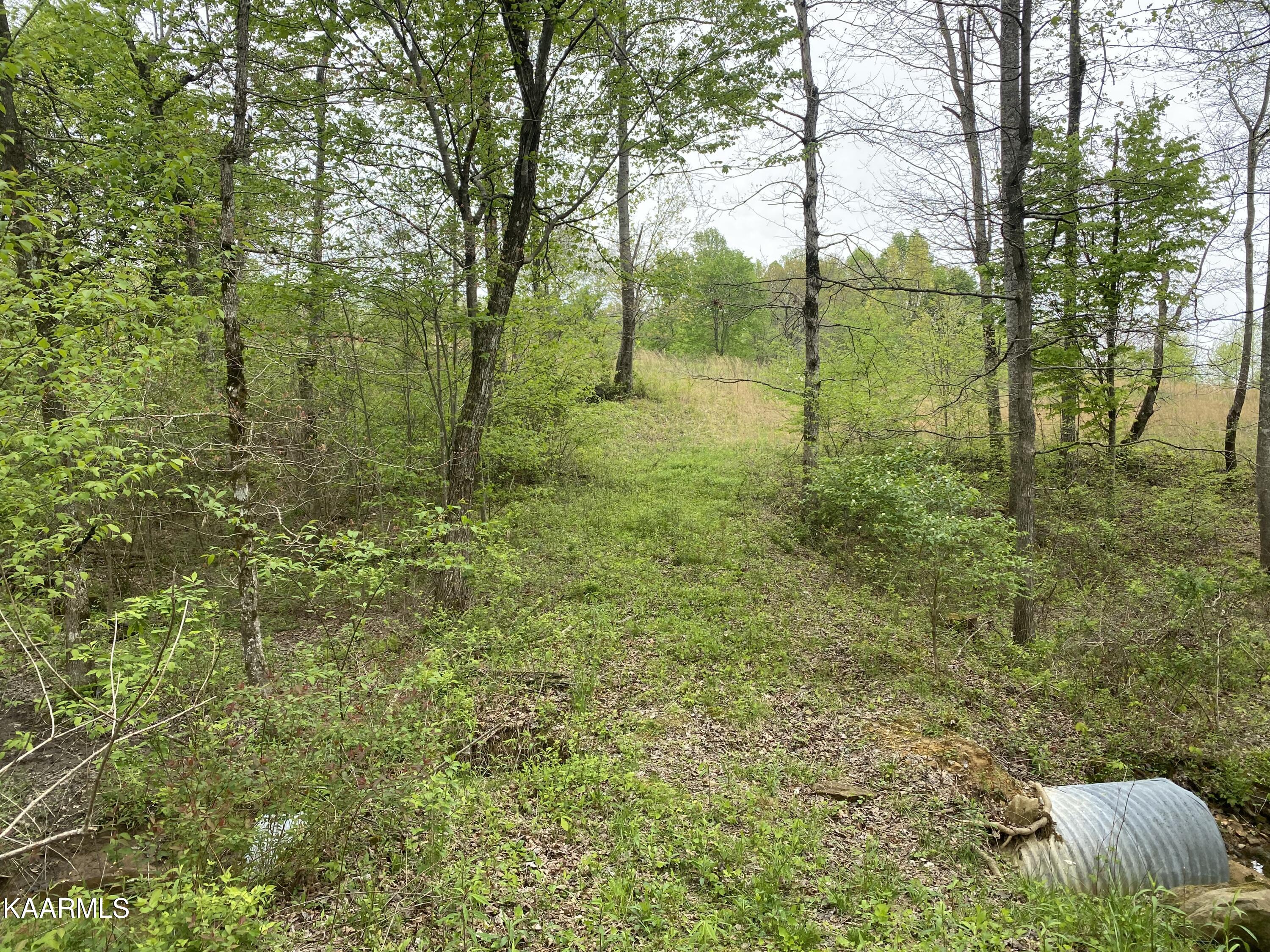 Bud Tanner Road Crossville, TN 38571 - Photo 8 of 13 16251DEB-8A92-4D18-BA47-6D78CAFAF310